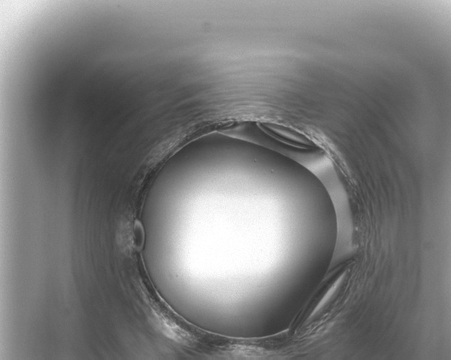 X0000068260393200605051754