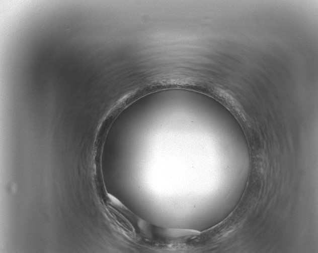 X0000068260395200605051754