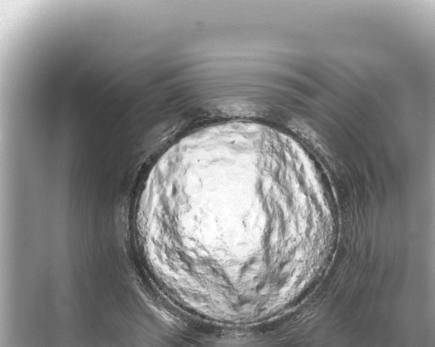 X0000068260398200605051754