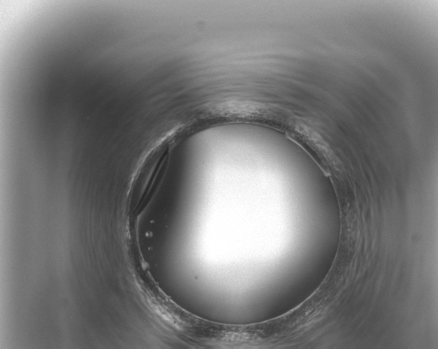 X0000068260399200605051754