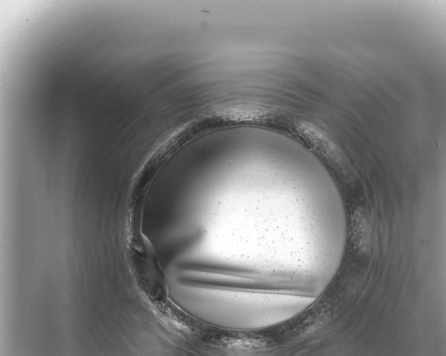 X0000068260400200605051754