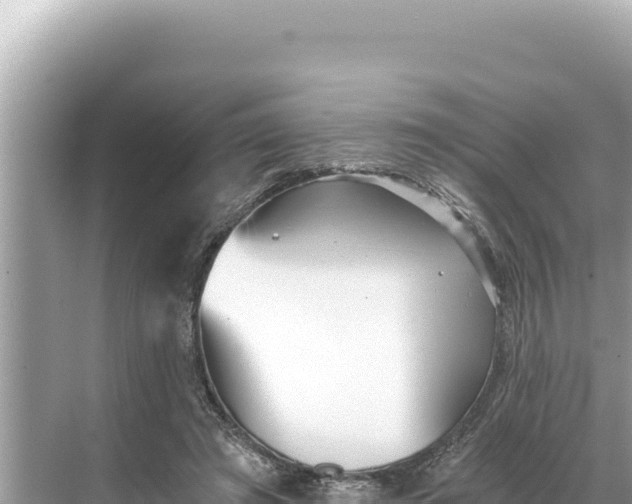 X0000068260401200605051754