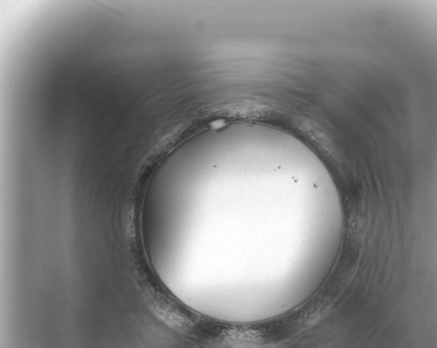 X0000068260403200605051754