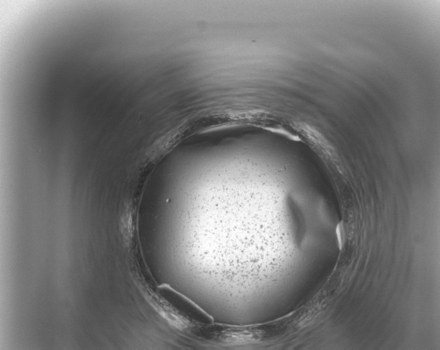 X0000068260405200605051754