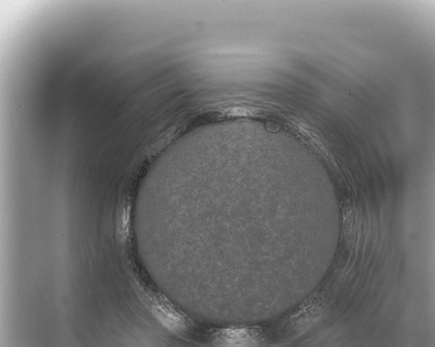 X0000068260406200605051754