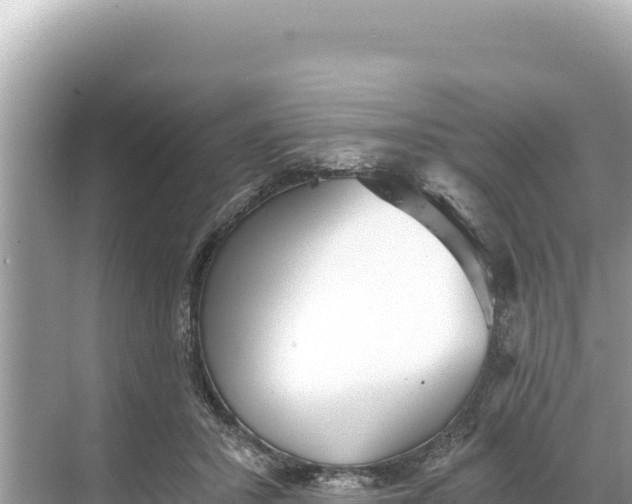 X0000068260407200605051754