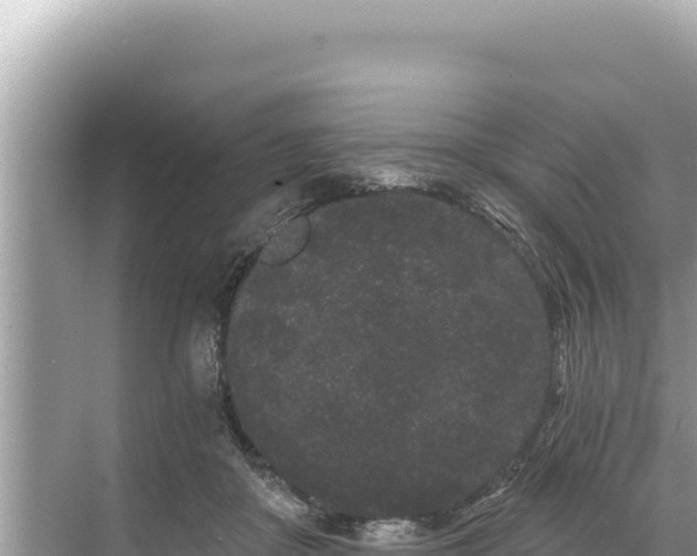 X0000068260410200605051754