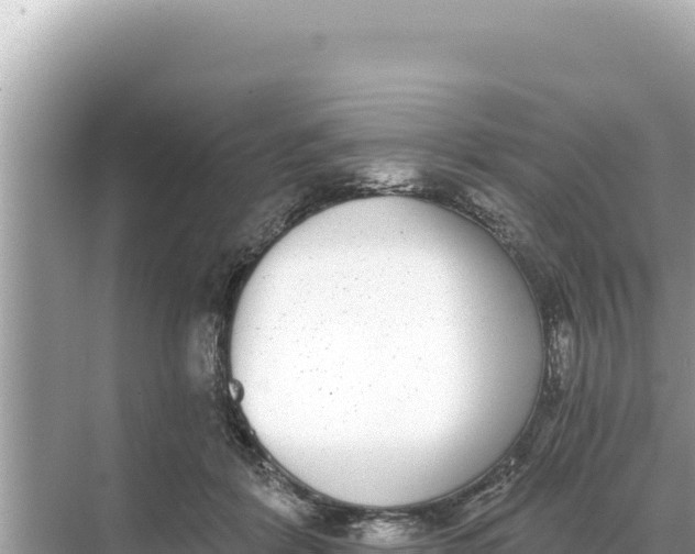 X0000068260412200605051754