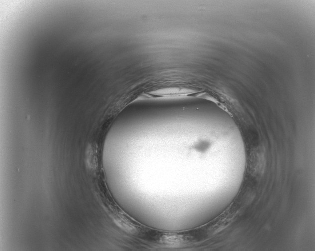 X0000068260413200605051754