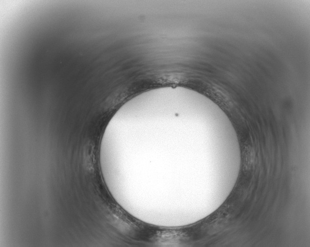 X0000068260414200605051754