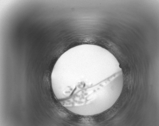 X0000068260415200605051754