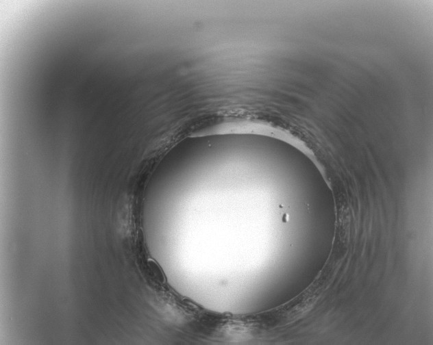 X0000068260416200605051754