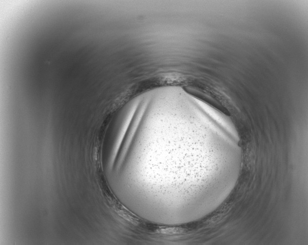 X0000068260417200605051754