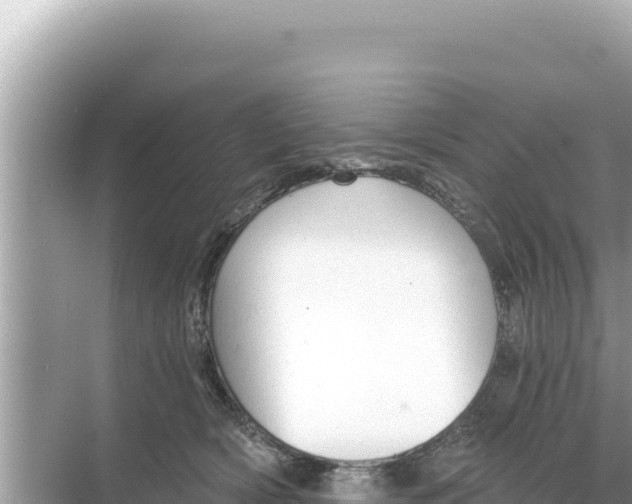 X0000068260418200605051754