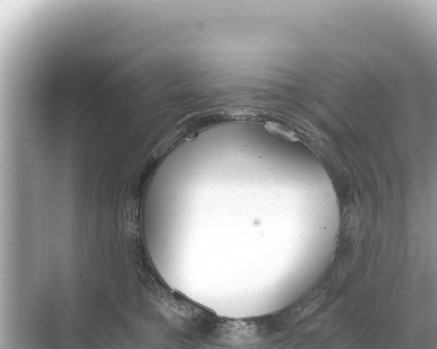 X0000068260421200605051754