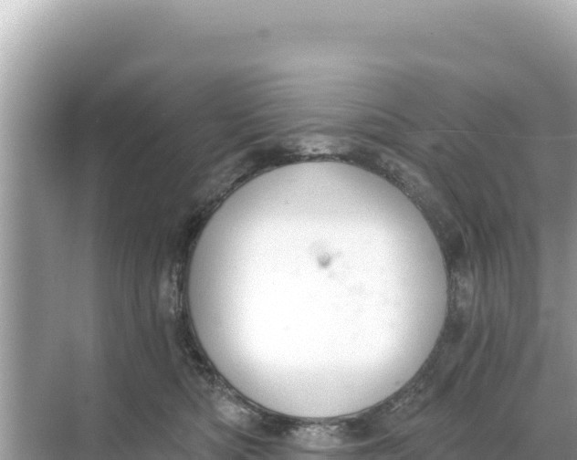 X0000068260422200605051754