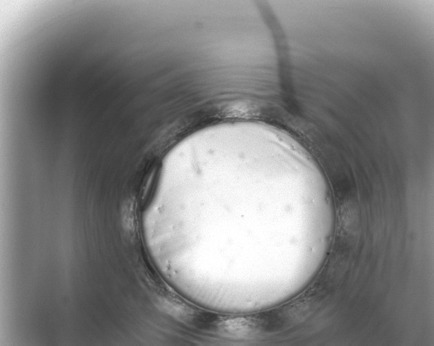 X0000068260423200605051754