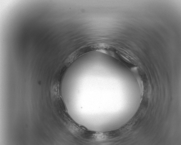 X0000068260425200605051754