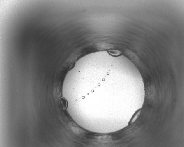 X0000068260426200605051754