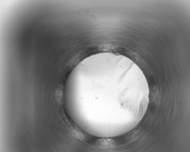 X0000068260427200605051754