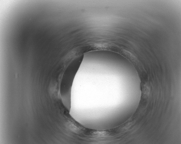 X0000068260428200605051754