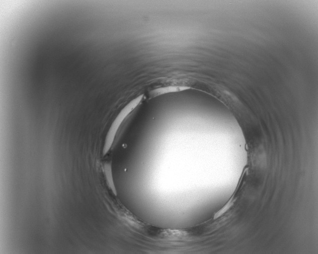 X0000068260429200605051754