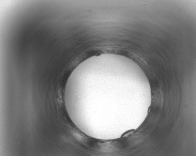 X0000068260430200605051754