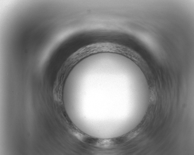 X0000068260431200605051754