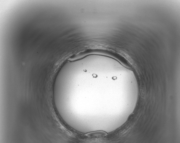 X0000068260433200605051753