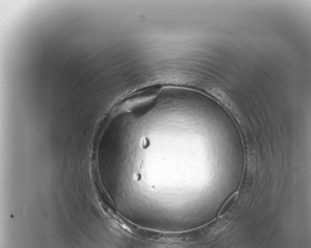 X0000068260434200605051753