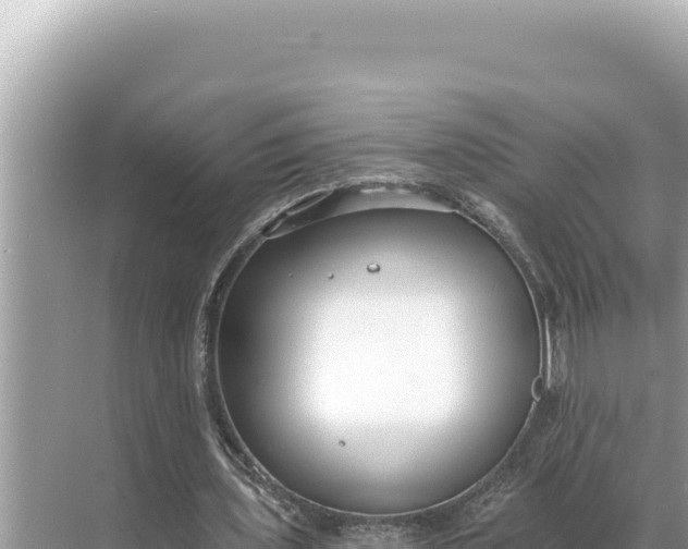 X0000068260435200605051753