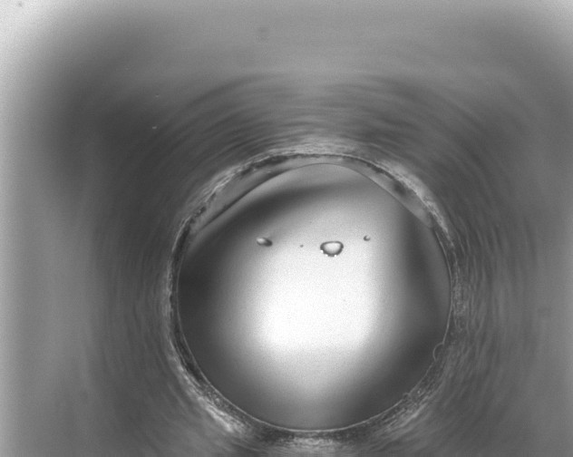 X0000068260437200605051753