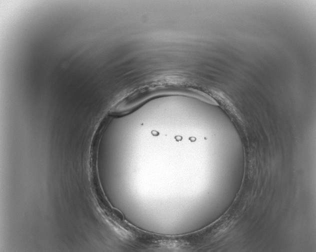 X0000068260439200605051753