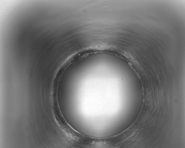 X0000068260440200605051753