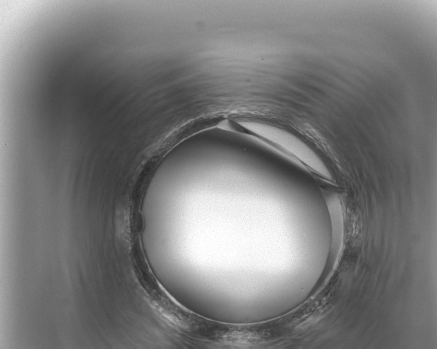 X0000068260444200605051753