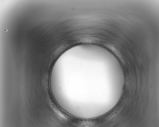 X0000068260445200605051753