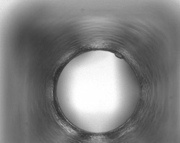 X0000068260446200605051753