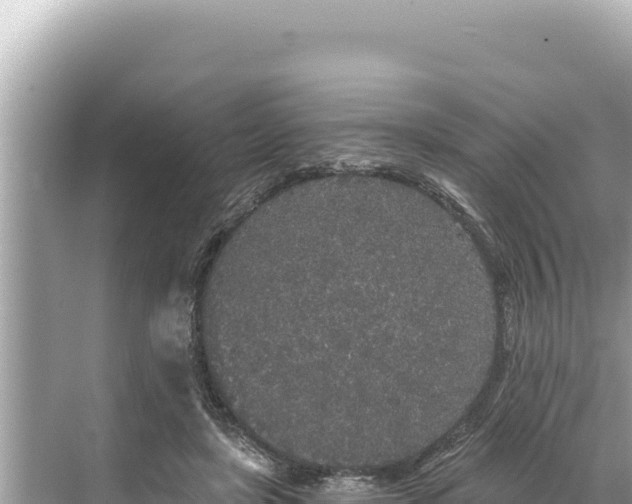 X0000068260451200605051753