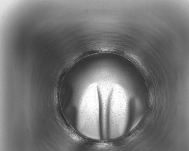 X0000068260453200605051753