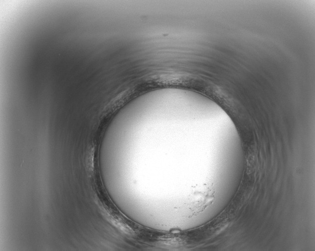 X0000068260454200605051753