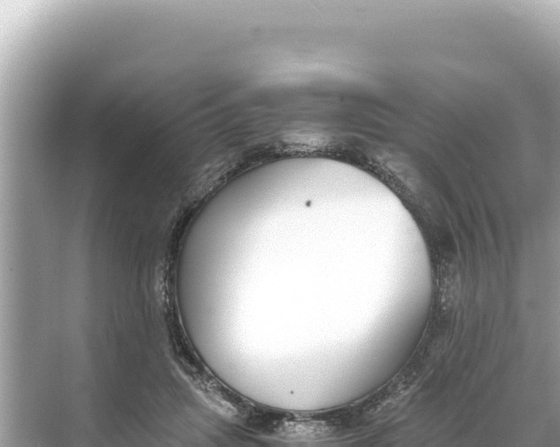 X0000068260455200605051753