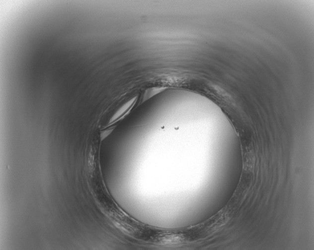 X0000068260456200605051753