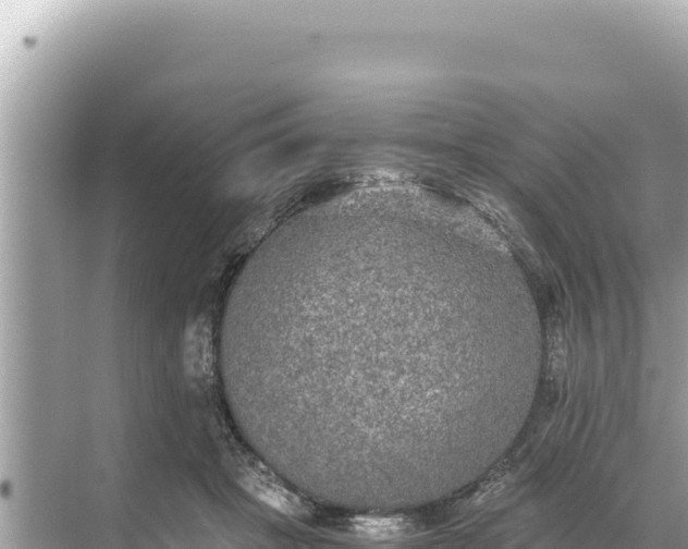 X0000068260457200605051753