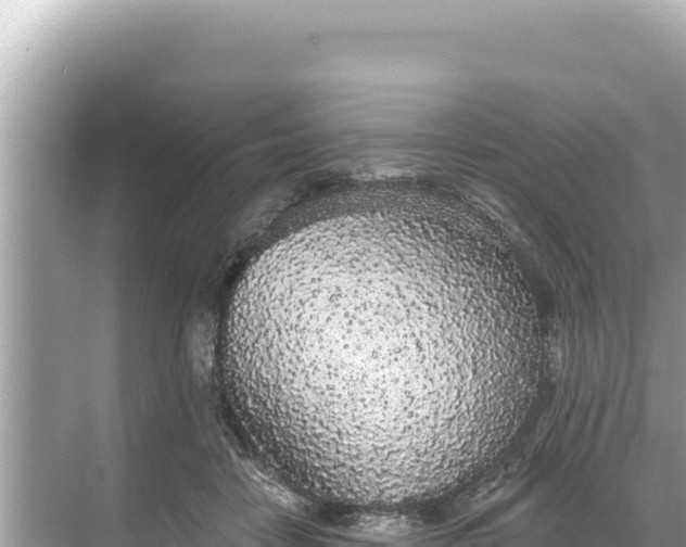 X0000068260458200605051753