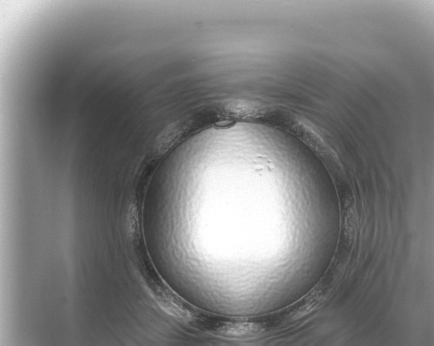 X0000068260459200605051753