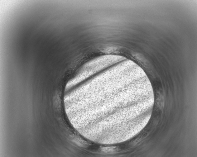 X0000068260461200605051753