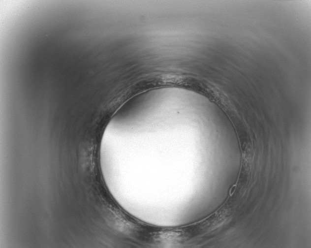 X0000068260462200605051753