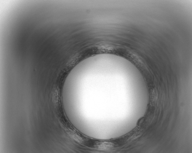 X0000068260463200605051753