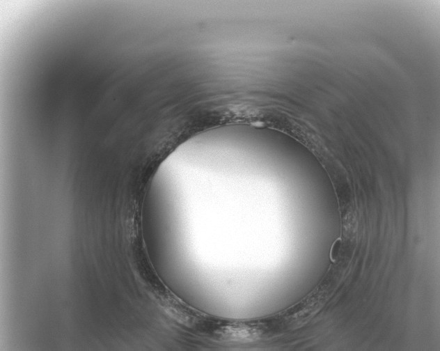 X0000068260464200605051753