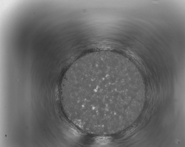 X0000068260465200605051753